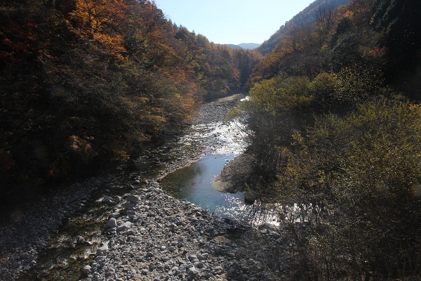 西沢渓谷のつり橋から見た左側