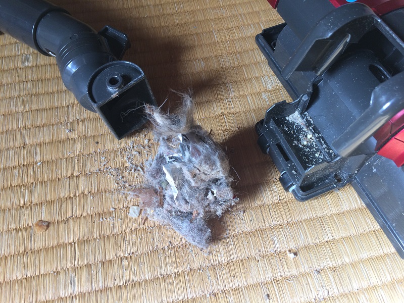 ヘッド部分に詰まったゴミ